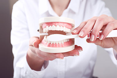 The image shows a person s hand holding an open dental model with a set of teeth, positioned in front of a woman who appears to be adjusting the teeth within the model.