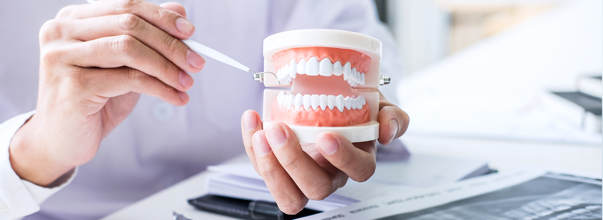 A dental professional s hand holding a tooth model next to a real tooth, with a focus on the comparison between artificial and natural teeth.